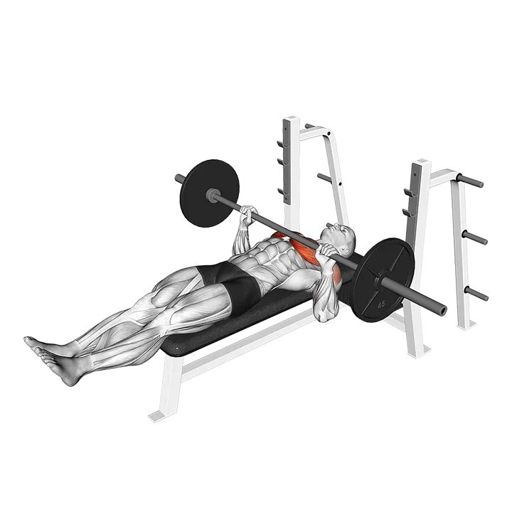 Barbell Larsen Press exercise animation (Male)
