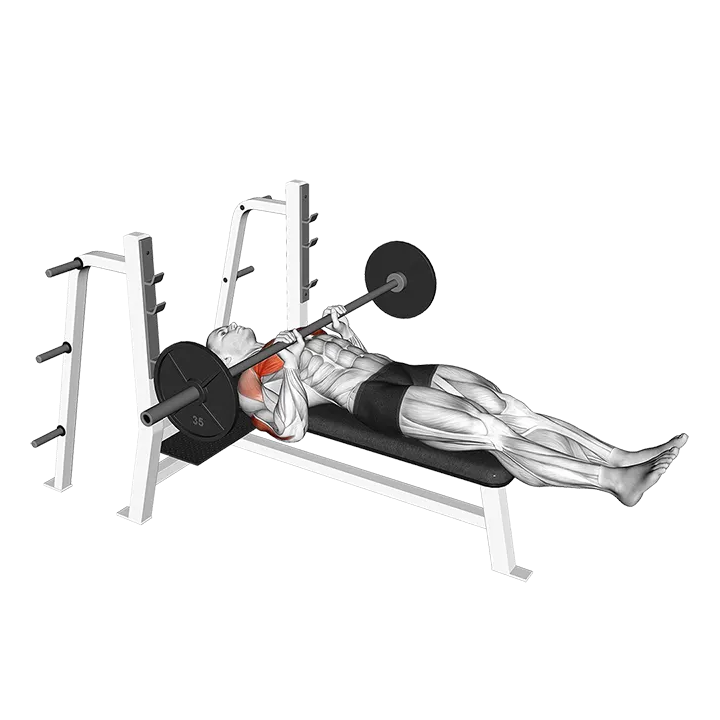 Barbell Close Grip Larsen Press exercise animation (Male)