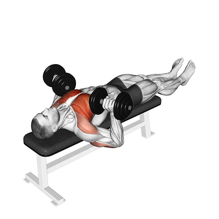 Dumbbell Larsen Press exercise animation (Male)