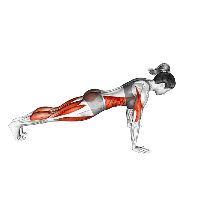 Chaturanga Dandasana (Four Limbed Staff Pose) exercise animation (Female)