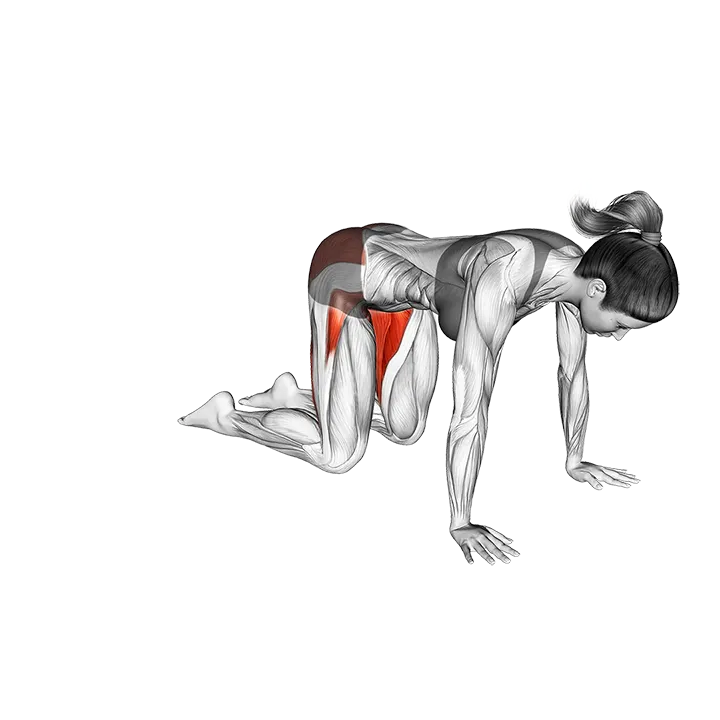 Frog Pose Mandukasana exercise animation (Female)
