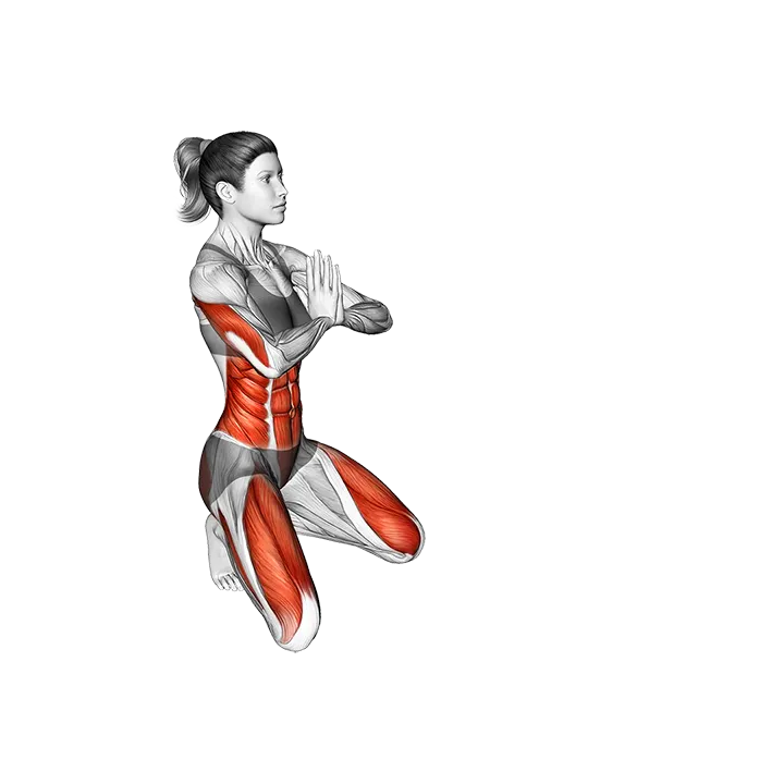 Peacock Pose Mayurasana exercise animation (Female)