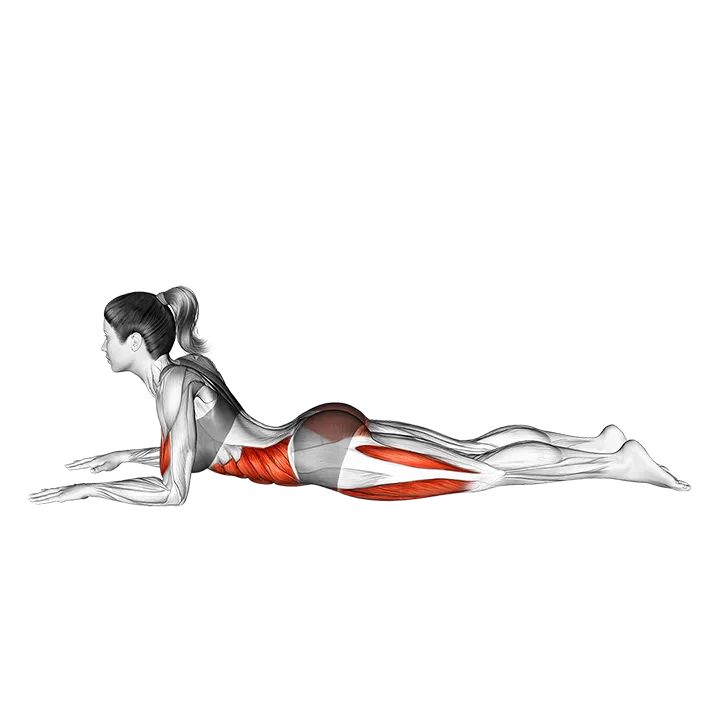 Half Frog Pose Ardha Bhekasana exercise animation (Female)