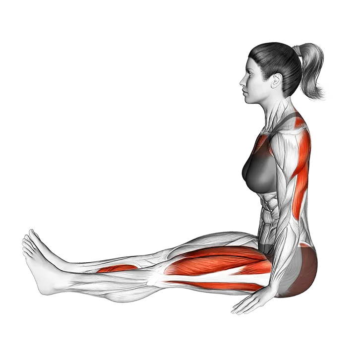 Sage Marichi I Pose Marichyasana exercise animation (Female)