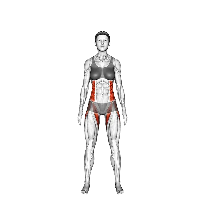 Bird of Paradise Pose Svarga Dvijasana exercise animation (Female)