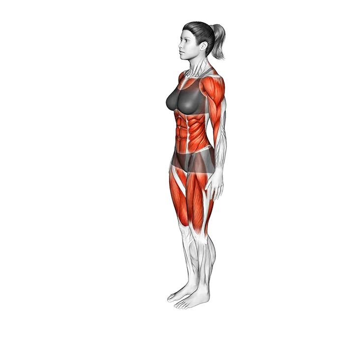 Dragonfly Pose Maksikanagasana exercise animation (Female)