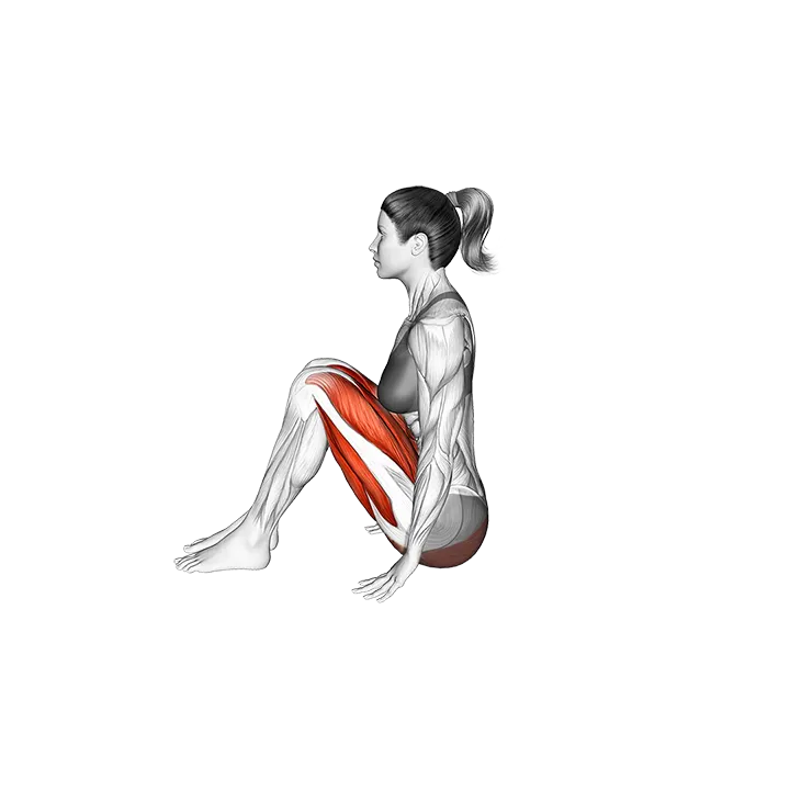 Half Boat Pose Ardha Navasana exercise animation (Female)