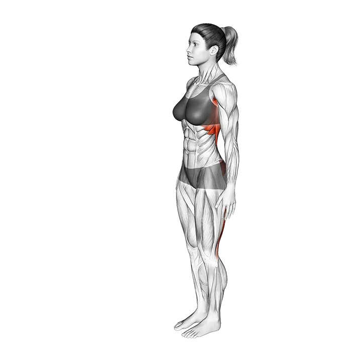 Eagle Pose Garudasana exercise animation (Female)