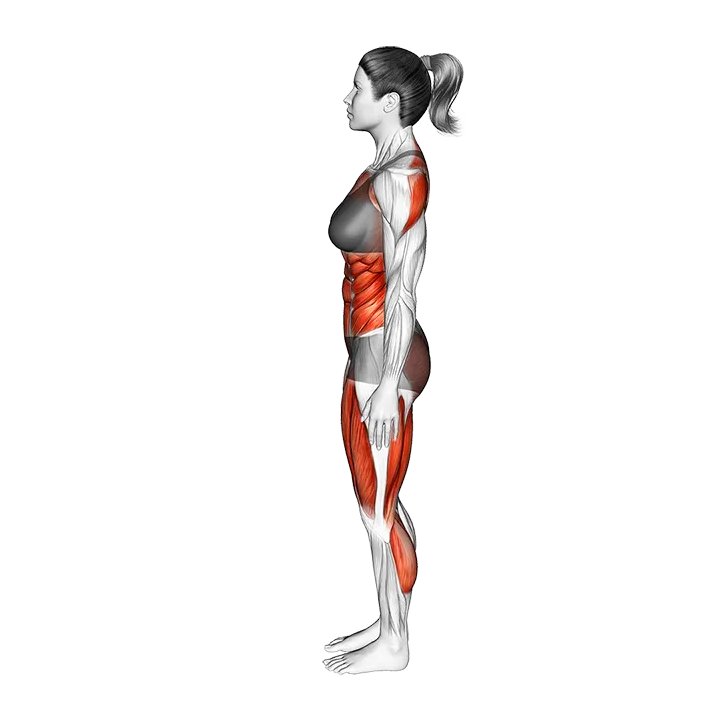 Dancer Pose Natarajasana exercise animation (Female)