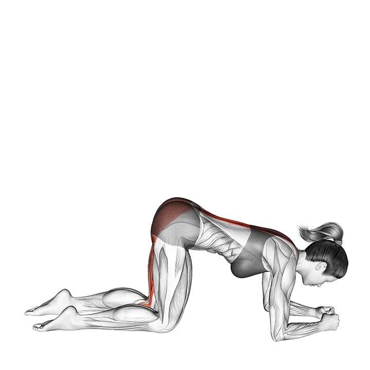 Basic to Cross Donkey Kick exercise animation (Female)