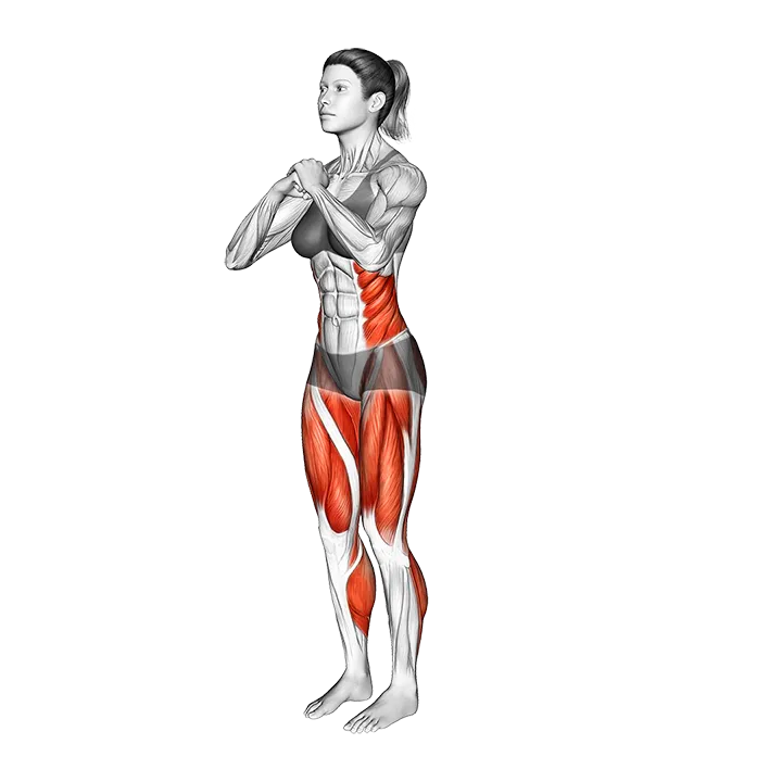 Single Curtsy Lunge exercise animation (Female)