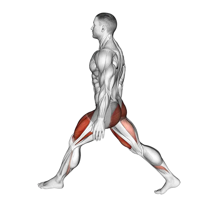 Bodyweight Low Split Squat exercise animation (Male)