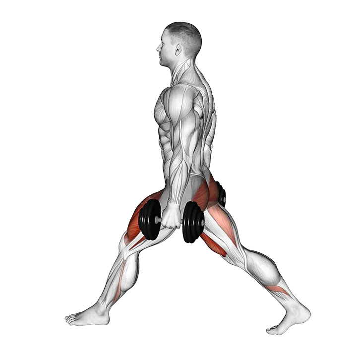 Dumbbell Low Split Squat exercise animation (Male)
