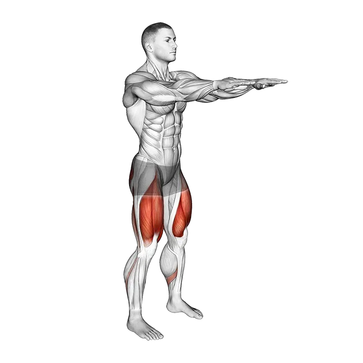 Bodyweight Slow To Explosive Squats exercise animation (Male)