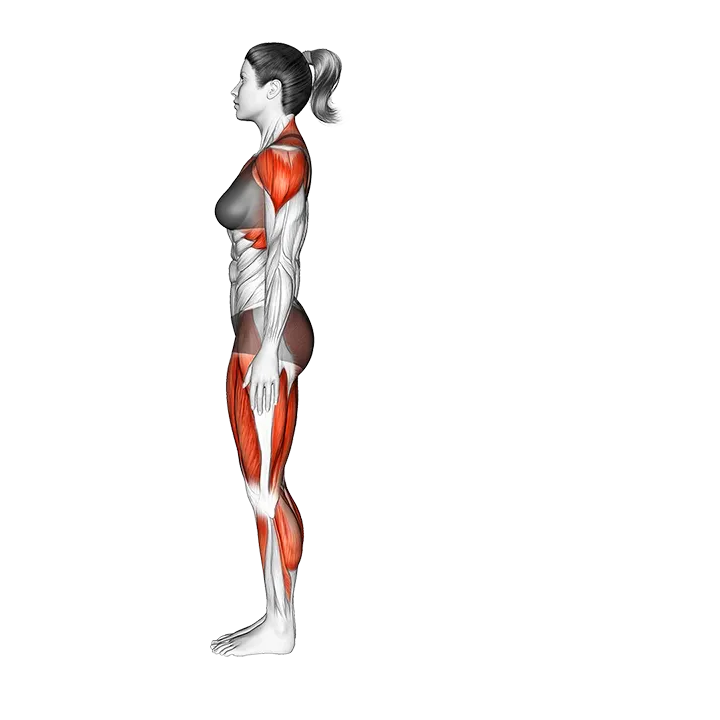 Humble Warrior Pose exercise animation (Female)