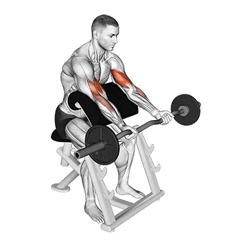 EZ Barbell Preacher Curl