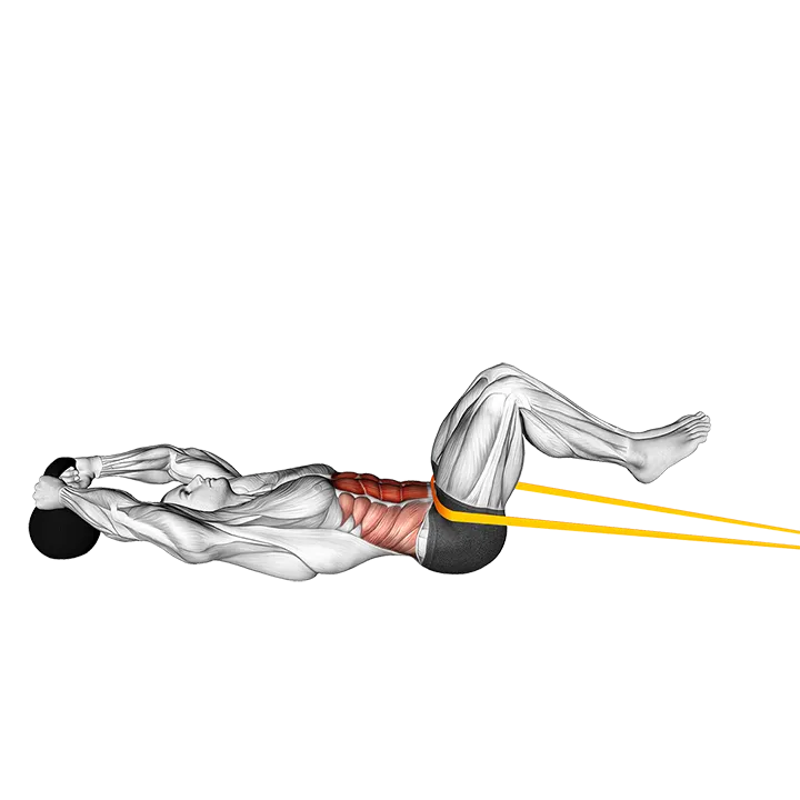 Resistance Band Reverse Crunch exercise animation (Male)