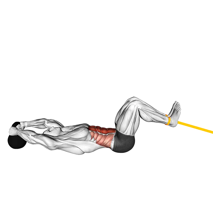 Resistance Band Reverse Crunch (VERSION 2) exercise animation (Male)