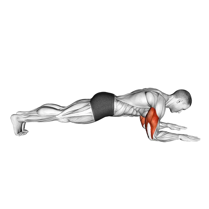 Bodyweight Triceps Extension from Plank Position exercise animation (Male)