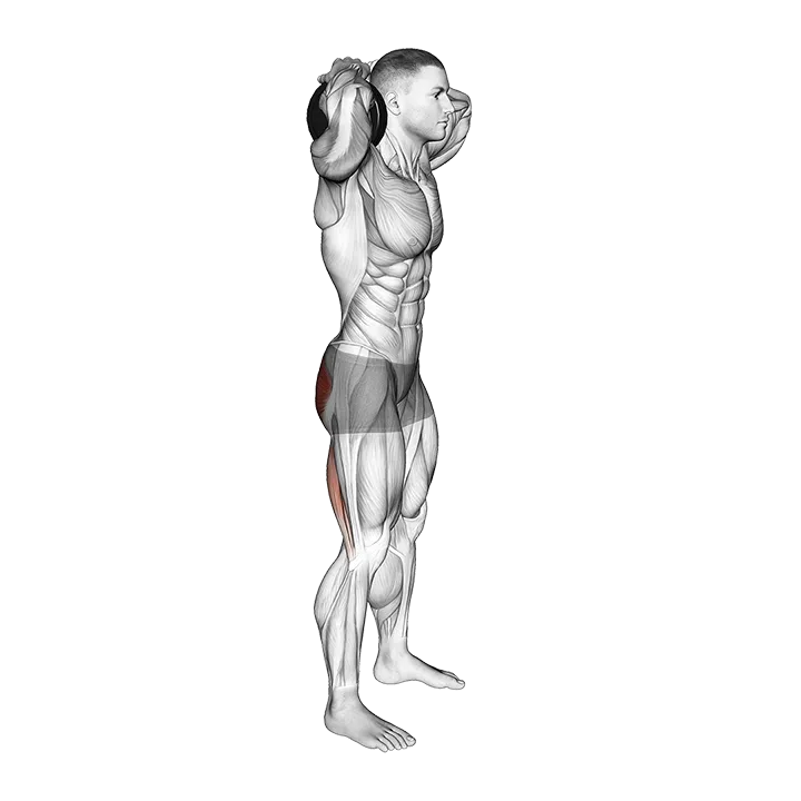 Dumbbell Good Morning exercise animation (Male)