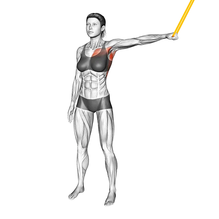 Resistance Band Shoulder Adduction exercise animation (Female)