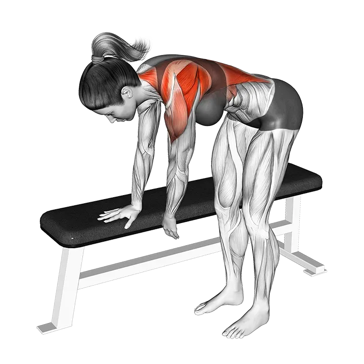 Bent Over Shoulder Pendulum exercise animation (Female)