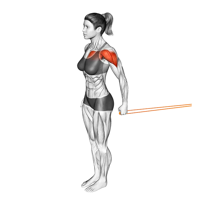 Resistance Band Standing Single Arm Shoulder Flexion exercise animation (Female)
