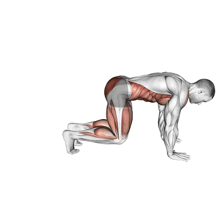 Bear Plank Kickback exercise animation (Male)