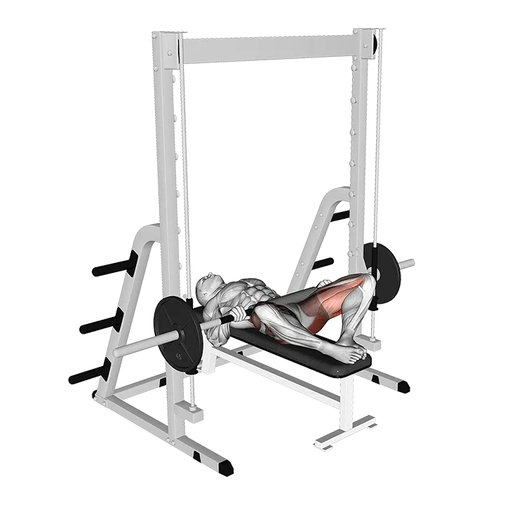 Smith Frog Hip Thrust exercise animation (Male)