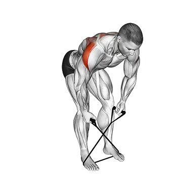 Band Bent over Rear Lateral Raise (VERSION 2)