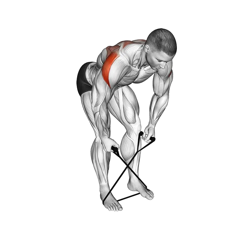Band Bent over Rear Lateral Raise (VERSION 2) exercise animation (Male)