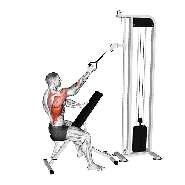 Cable Single Arm High Row exercise animation (Male)