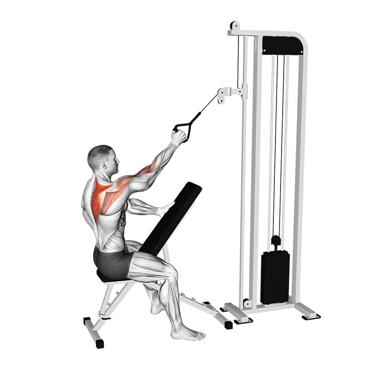 Cable Single Arm High Scapular Row exercise animation (Male)
