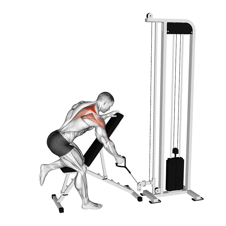 Cable Single Arm Low Scapular Row exercise animation (Male)