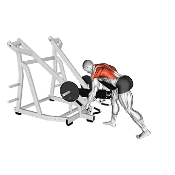 Lever Bent Over Row (with chest support)