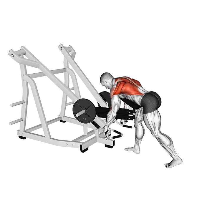 Lever Bent Over Row (with chest support) exercise animation (Male)
