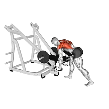 Lever Bent Over Neutral Grip Row (with chest support)