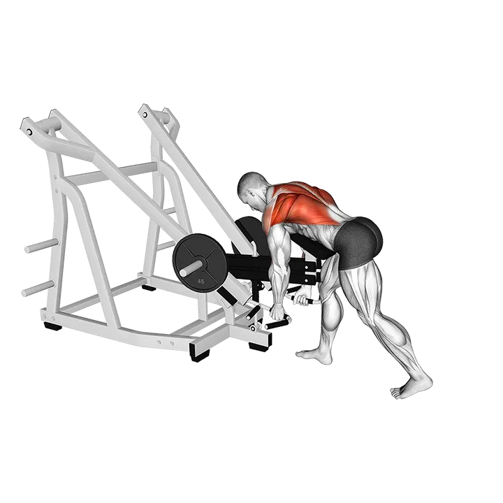 Lever Bent Over Neutral Grip Row (with chest support) exercise animation (Male)