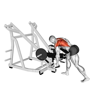 Lever Bent Over Single Arm Neutral Grip Row (with chest support)