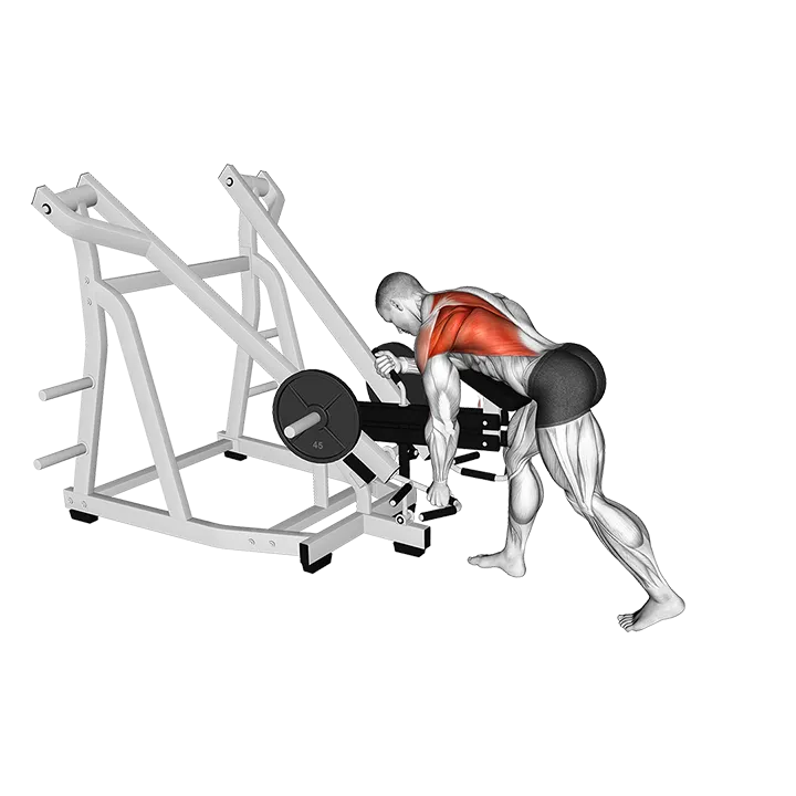 Lever Bent Over Single Arm Neutral Grip Row (with chest support) exercise animation (Male)