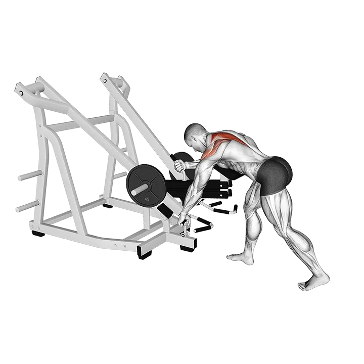 Lever Bent Over Single Arm Wide Grip Row (with chest support) exercise animation (Male)