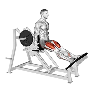 Lever Linear Hack Squat