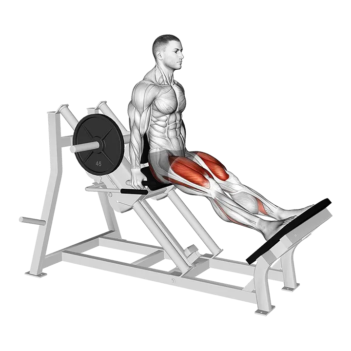 Lever Linear Hack Squat exercise animation (Male)