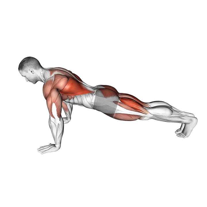 Push-up Pull exercise animation (Male)