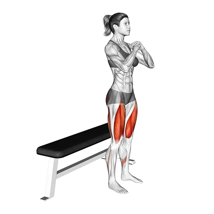 Bodyweight Bench Squat exercise animation (Female)
