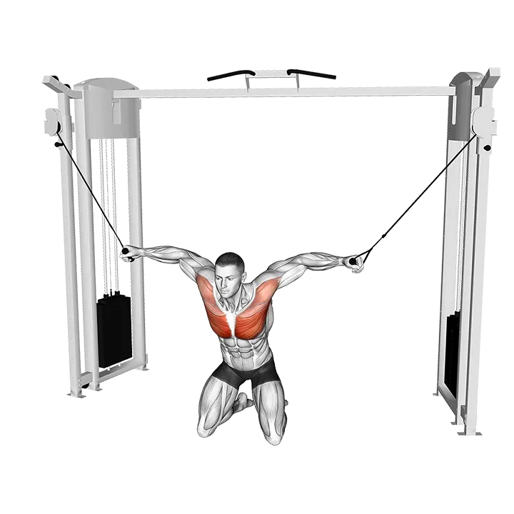Cable Kneeling High to Low Fly exercise animation (Male)