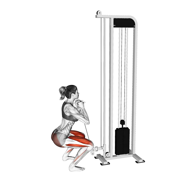 Cable Goblet Squat exercise animation (Female)