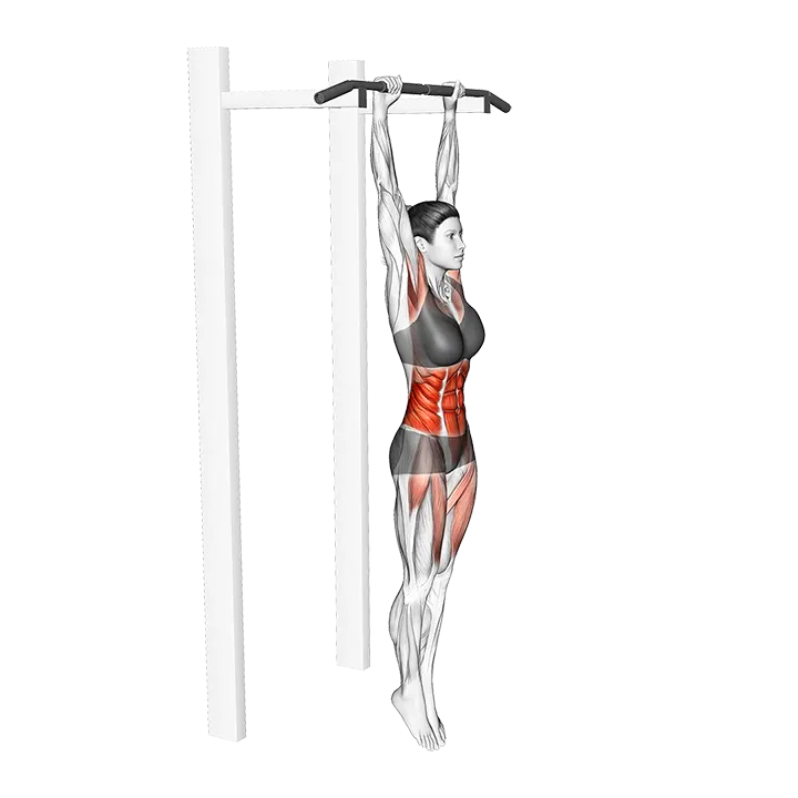 Hanging Hollow Hold exercise animation (Female)