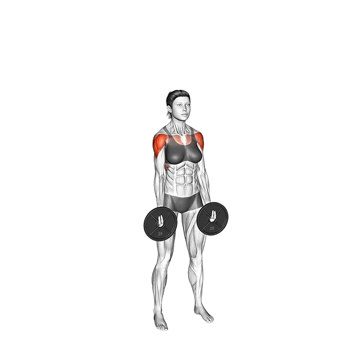 Weighted Plate Standing Around the World exercise animation (Female)