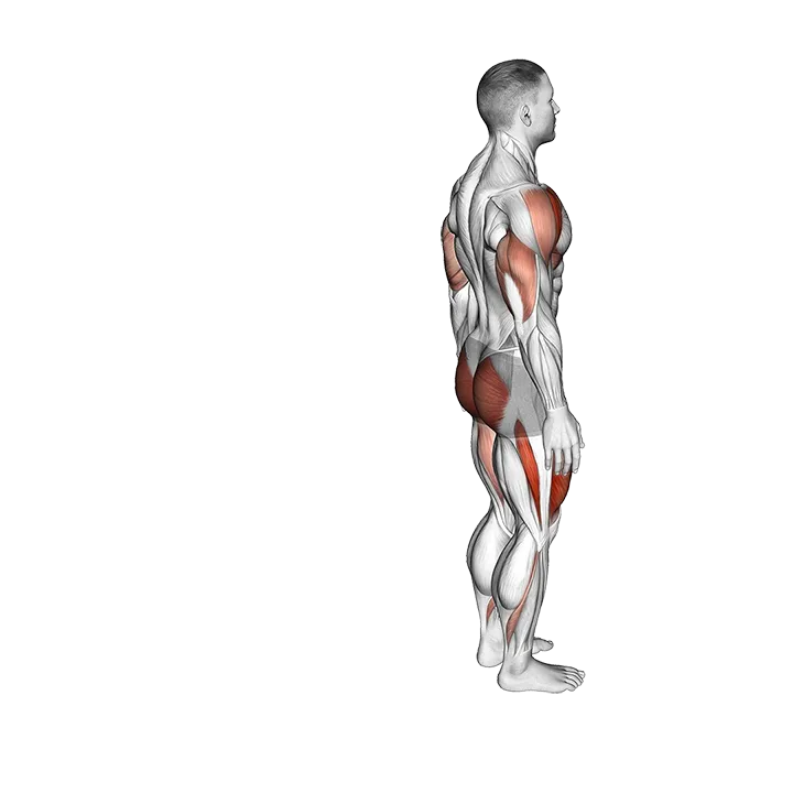 Bodyweight Reverse Lunge with Overhead Reach exercise animation (Male)